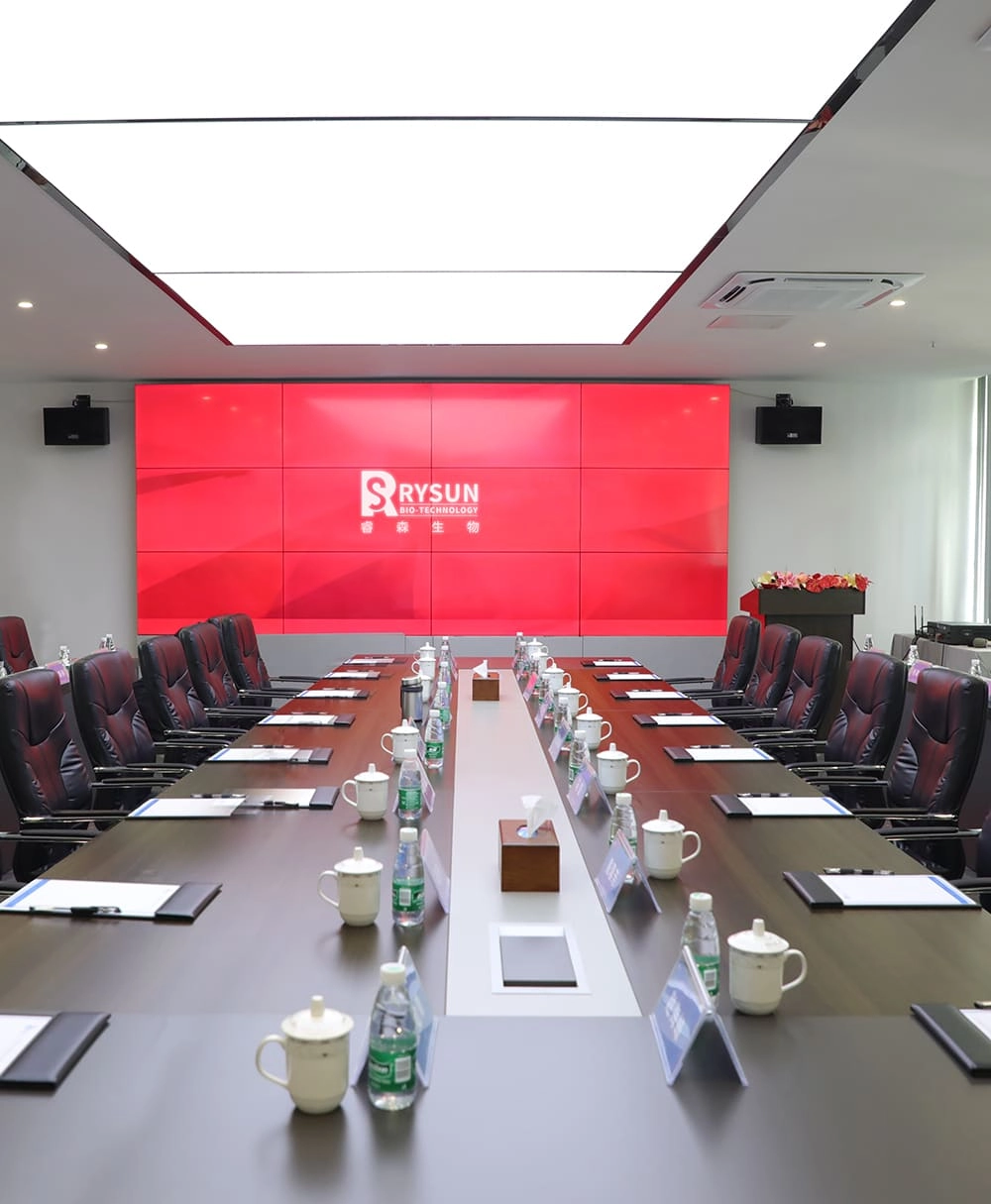 Conference room - RYSUN