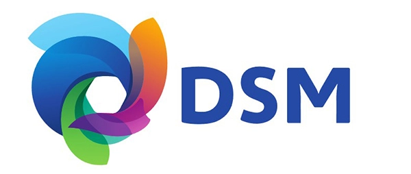 DSM - RYSUN