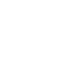 SFDA - RYSUN