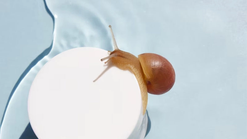 snail-mucin - RYSUN