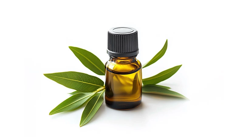 Tea-Tree-Oil - RYSUN